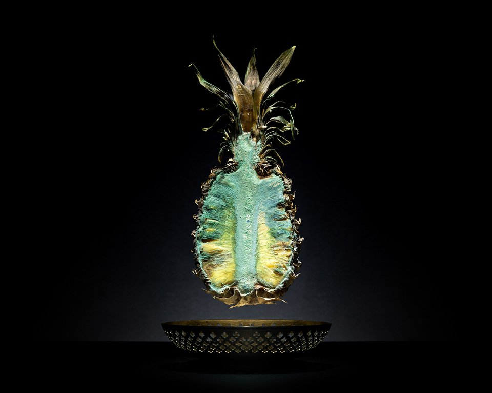 Η ομορφιά της αποσύνθεσης: Φωτογράφος απαθανατίζει φαγητά καθώς μουχλιάζουν [εικόνες] | iefimerida.gr 4