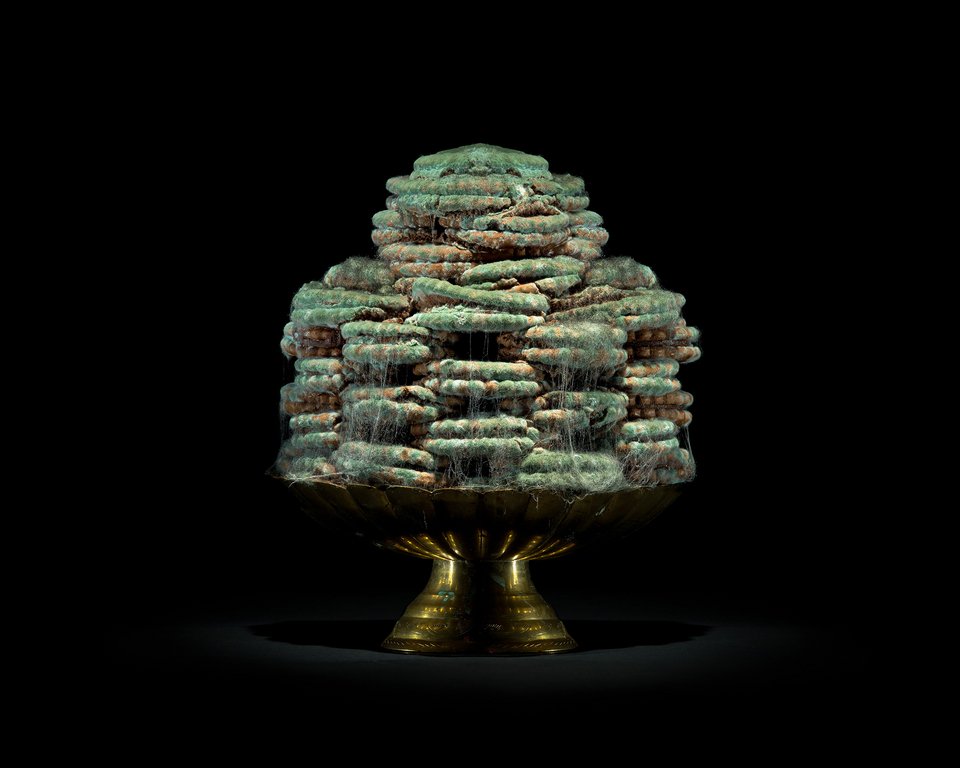 Η ομορφιά της αποσύνθεσης: Φωτογράφος απαθανατίζει φαγητά καθώς μουχλιάζουν [εικόνες] | iefimerida.gr 5