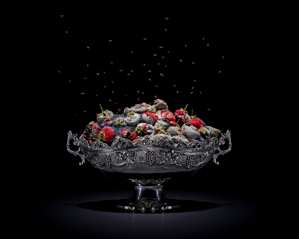 Η ομορφιά της αποσύνθεσης: Φωτογράφος απαθανατίζει φαγητά καθώς μουχλιάζουν [εικόνες] | iefimerida.gr 6