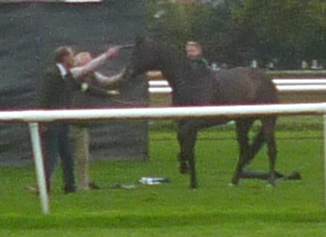 Σοκαριστική αποκάλυψη: Πυροβολούν εν ψυχρώ τα τραυματισμένα άλογα στη Βρετανία [εικόνα] | iefimerida.gr 0