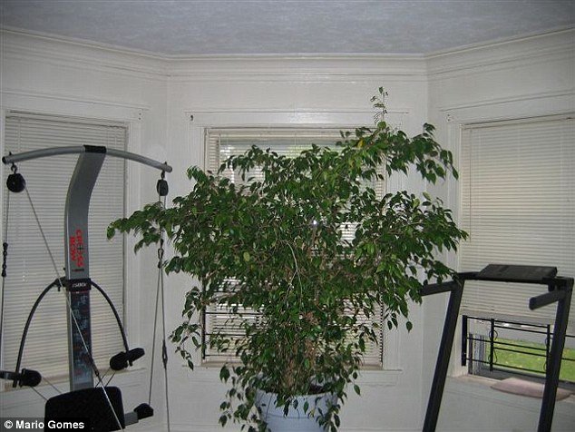 Μέσα στο σπίτι του Αλ Καπόνε στο Σικάγο -Εδώ έζησε ο θρυλικός αρχιμαφιόζος [εικόνες] | iefimerida.gr 1