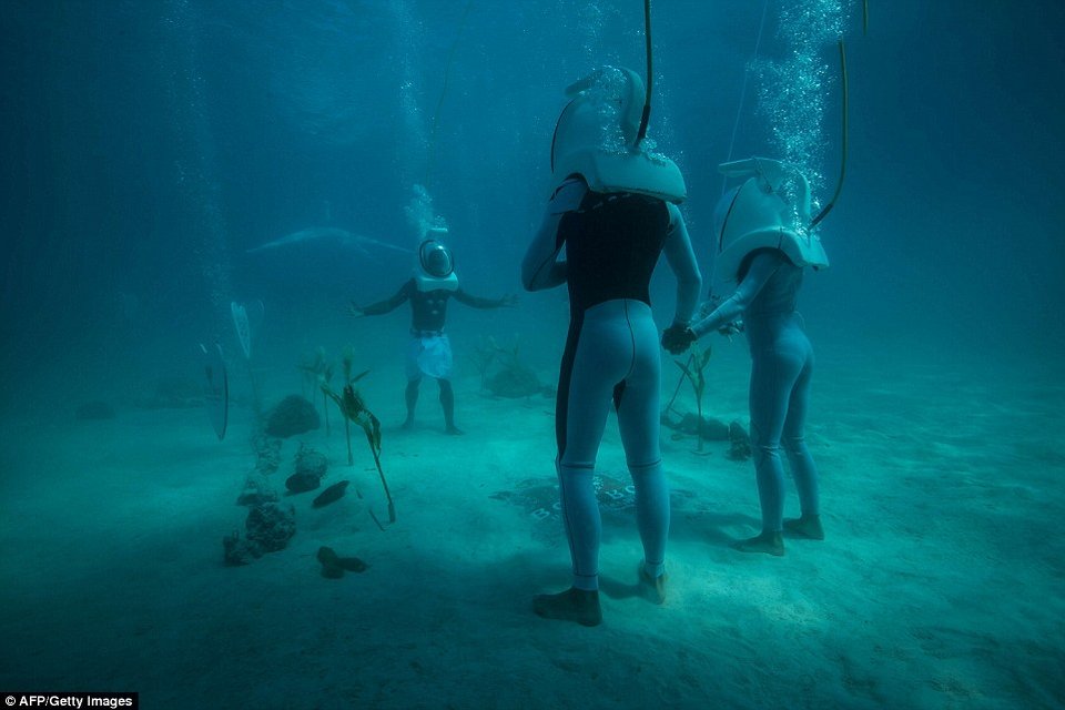 «Υποβρύχιος» γάμος στο νησί Μπόρα-Μπόρα κόστους 2.700 ευρώ [εικόνες & βίντεο] | iefimerida.gr 0