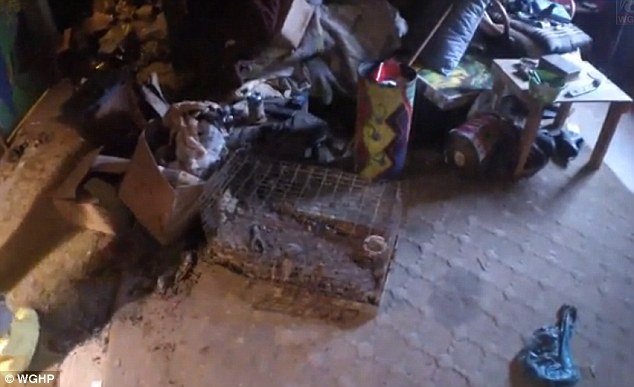 Σοκάρει το σπίτι του σατανιστή στη Βόρεια Καρολίνα: Ανατριχιαστικά σύμβολα και πεθαμένα ζώα [εικόνες] | iefimerida.gr 4