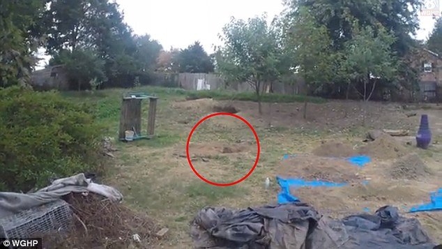 Σοκάρει το σπίτι του σατανιστή στη Βόρεια Καρολίνα: Ανατριχιαστικά σύμβολα και πεθαμένα ζώα [εικόνες] | iefimerida.gr 5