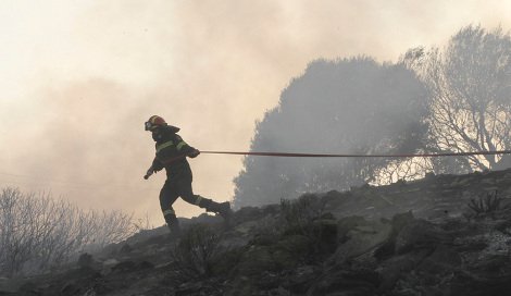 Μάχη με τις φλόγες στην Κερατέα - Σε απόσταση αναπνοής από σπίτια η φωτιά [εικόνες] | iefimerida.gr 2