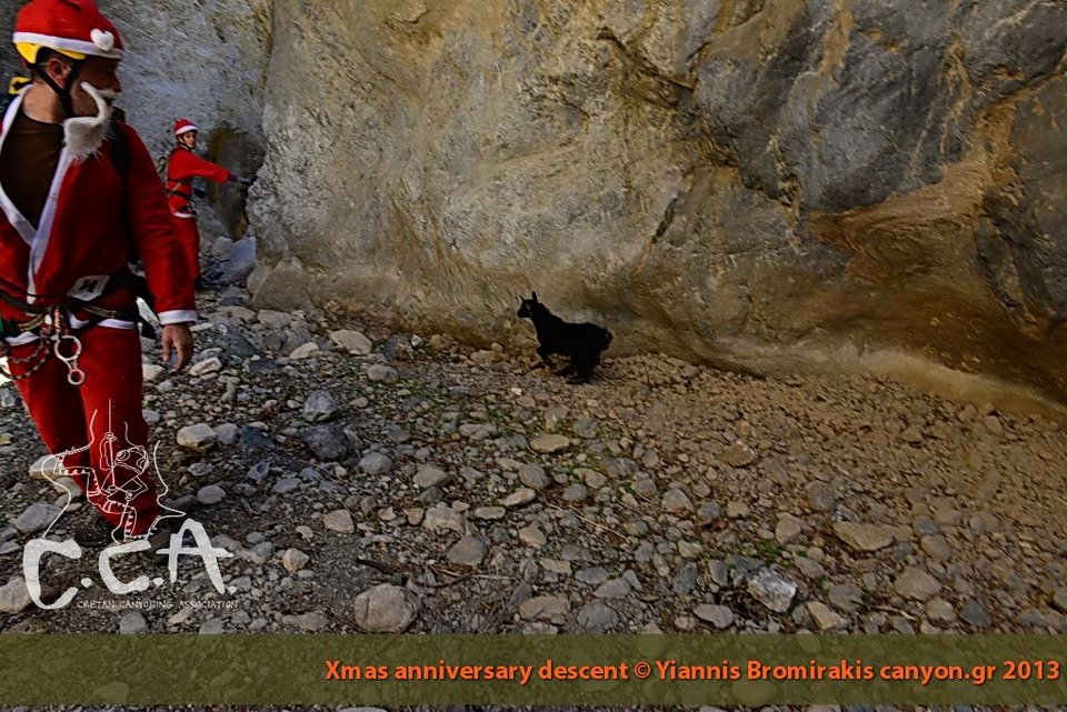 Αγιοι Βασίληδες έκαναν κατάβαση στο φαράγγι του Ελιγκα στην Κρήτη [εικόνες] | iefimerida.gr 2