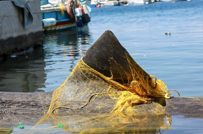 Καρχαρίας 7,5 μέτρων στα δίχτυα ψαρά στη Λέσβο [εικόνες] | iefimerida.gr 2