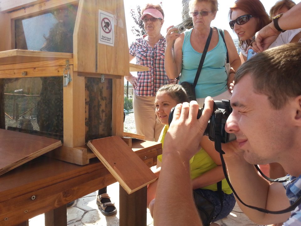 Ευεξία! Μέσα στο Πάρκο Μελισσοθεραπείας στη Θεσσαλονίκη [εικόνες] | iefimerida.gr 0