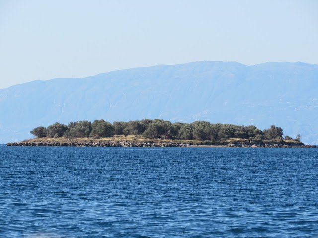 Μακάβριο εύρημα σε ακατοίκητο νησάκι στην Ιτέα: Παιδιά ανακάλυψαν σκελετό νεαρού άνδρα [εικόνες] | iefimerida.gr 2