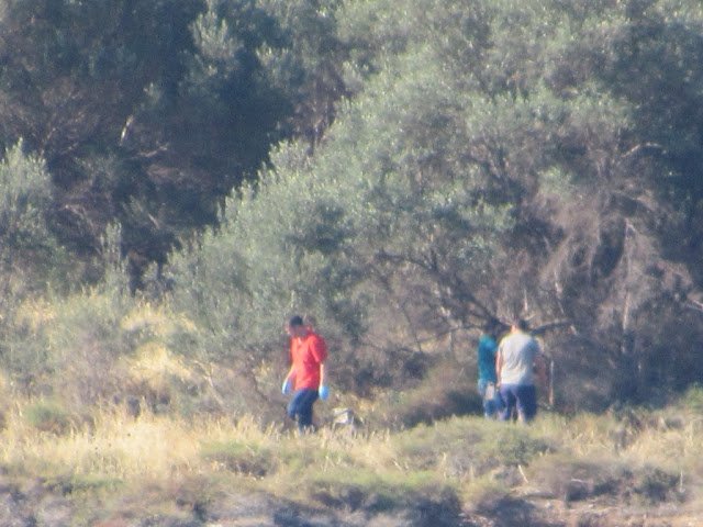 Μακάβριο εύρημα σε ακατοίκητο νησάκι στην Ιτέα: Παιδιά ανακάλυψαν σκελετό νεαρού άνδρα [εικόνες] | iefimerida.gr 0