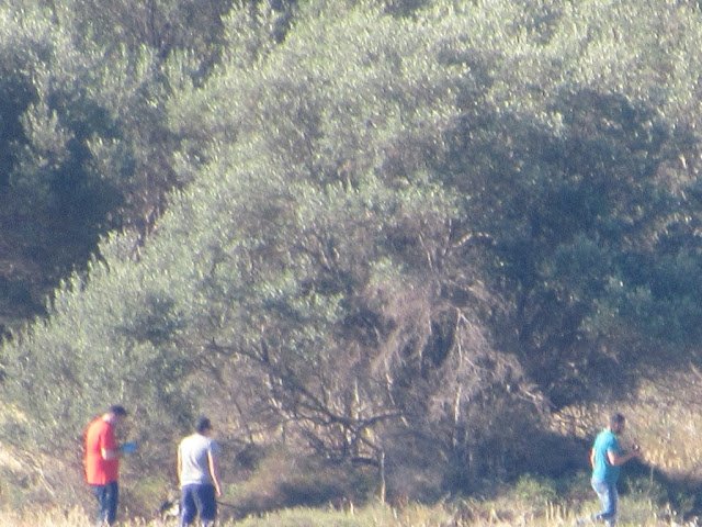 Μακάβριο εύρημα σε ακατοίκητο νησάκι στην Ιτέα: Παιδιά ανακάλυψαν σκελετό νεαρού άνδρα [εικόνες] | iefimerida.gr 1