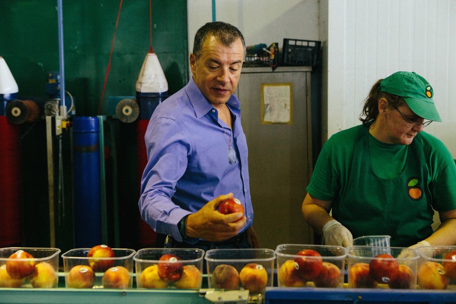 Ο Σταύρος Θεοδωράκης σε ρόλο... αγρότη - Συσκεύασε ροδάκινα στο Βελβεντό Κοζάνης [εικόνες] | iefimerida.gr 2