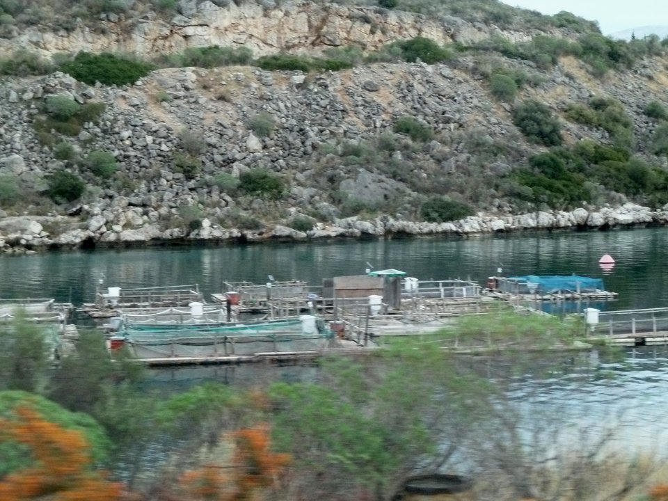 ελληνική ιχθυοκαλλιέργεια