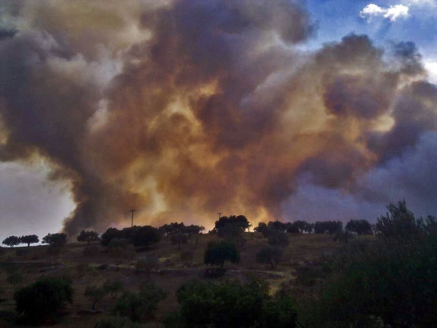 Υπό μερικό έλεγχο η φωτιά στα Λευκάκια Ναυπλίου [εικόνες]  | iefimerida.gr 1