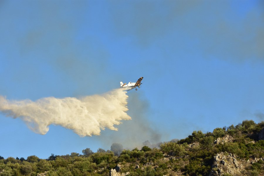 Υπό έλεγχο η φωτιά στην Προσύμνη Αργους [εικόνες] | iefimerida.gr 2