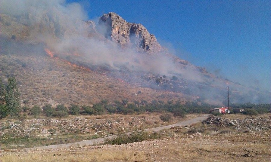 Υπό έλεγχο η φωτιά στην Προσύμνη Αργους [εικόνες] | iefimerida.gr 1