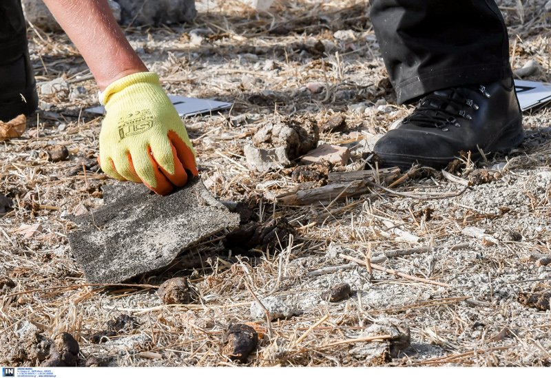 Ερευνες για τον μικρό Μπεν: Βρέθηκαν δεκάδες θραύσματα οστών στο χωράφι της Κω [βίντεο] | iefimerida.gr 1