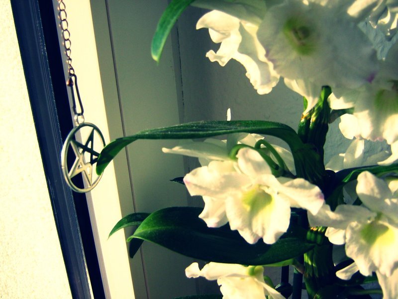 Σατανιστές Κεφαλονιάς: Αυτός είναι ο 30χρονος -Το περίεργο μήνυμά του στο Facebook [εικόνες] | iefimerida.gr 10