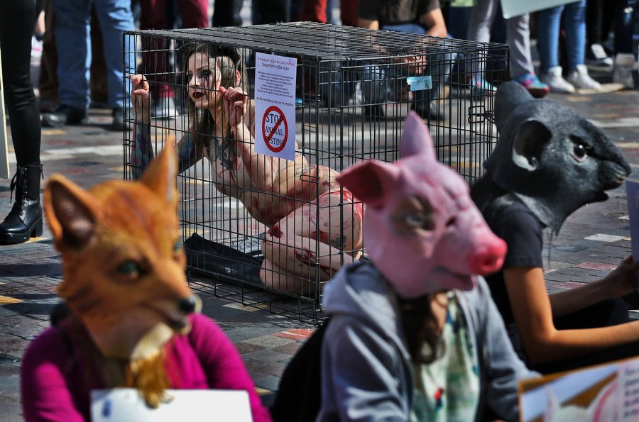 Ηχηρή διαμαρτυρία γυμνών φιλόζωων ακτιβιστών στο Μοναστηράκι [εικόνες] | iefimerida.gr 2