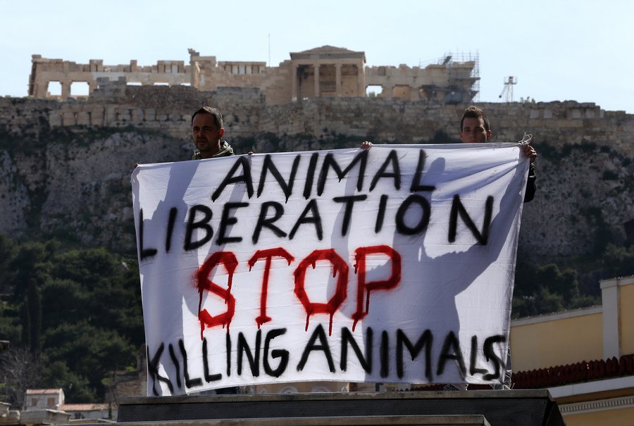 Ηχηρή διαμαρτυρία γυμνών φιλόζωων ακτιβιστών στο Μοναστηράκι [εικόνες] | iefimerida.gr 0