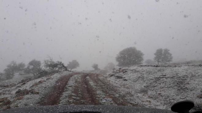 Τέλη Απριλίου και χιονίζει στα Καλάβρυτα! [εικόνες] | iefimerida.gr 2