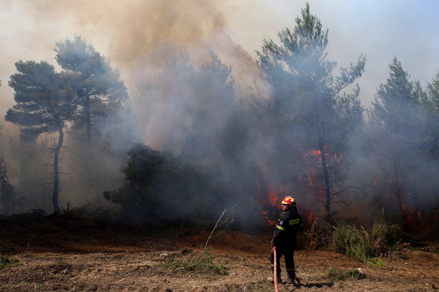 Πύρινος «εφιάλτης» για τρίτη νύχτα -Επεσε ο αέρας, παραμένουν οι φόβοι | iefimerida.gr 4