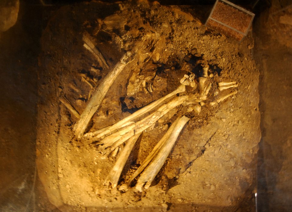 Σε άριστη κατάσταση το κρανίο γυναίκας που έζησε πριν από 9.000 χρόνια [εικόνες] | iefimerida.gr 1