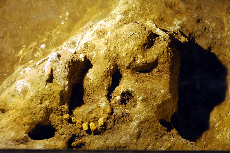 Σε άριστη κατάσταση το κρανίο γυναίκας που έζησε πριν από 9.000 χρόνια [εικόνες] | iefimerida.gr 0