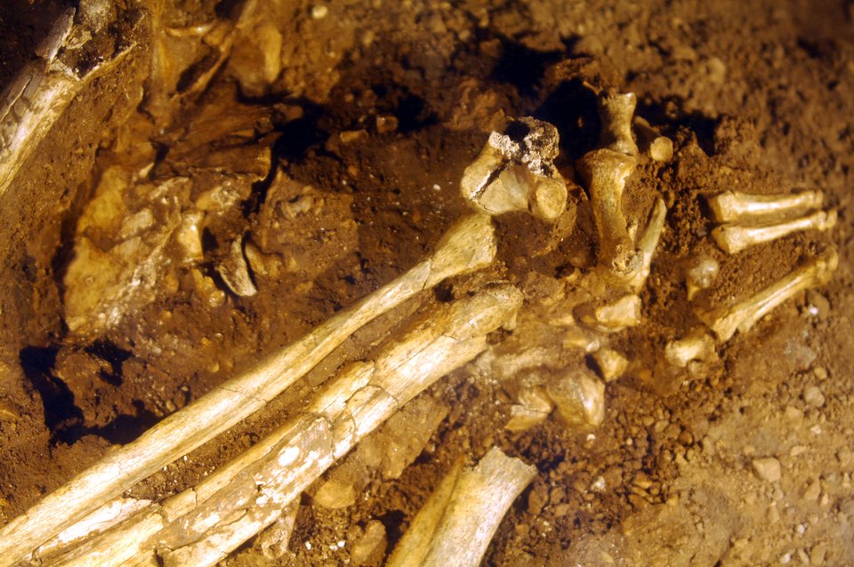 Σε άριστη κατάσταση το κρανίο γυναίκας που έζησε πριν από 9.000 χρόνια [εικόνες] | iefimerida.gr 2