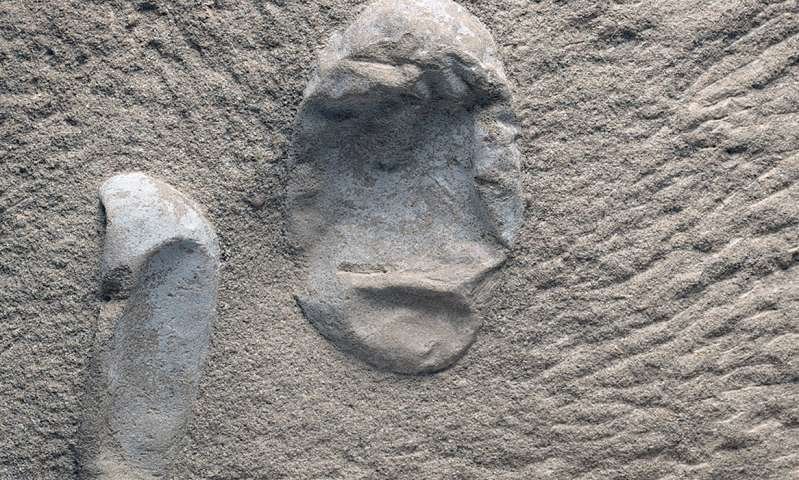 Ανακαλύφθηκαν στην Κίνα 215 απολιθωμένα αυγά πτερόσαυρων με έμβρυα -120 εκατ. ετών [εικόνα]  | iefimerida.gr 0