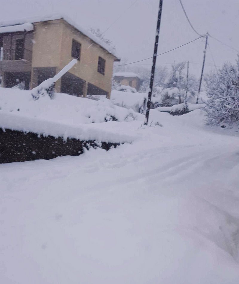 Σε κλοιό χιονιά η χώρα -Οδηγοί εγκλωβίστηκαν επί 8 ώρες στην Εθνική Αθηνών-Λαμίας [εικόνες] | iefimerida.gr 12