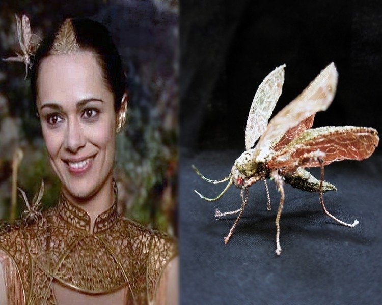 Οι συγκλονιστικές λεπτομέρειες στα κοστούμια του Game of Thrones που δεν είχατε προσέξει [εικόνες] | iefimerida.gr 17