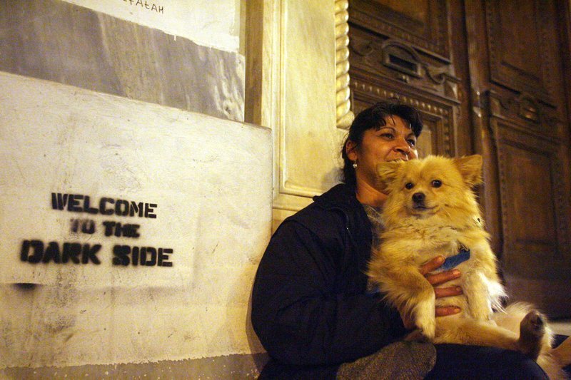 Σκύλος στην οικονομική κρίση