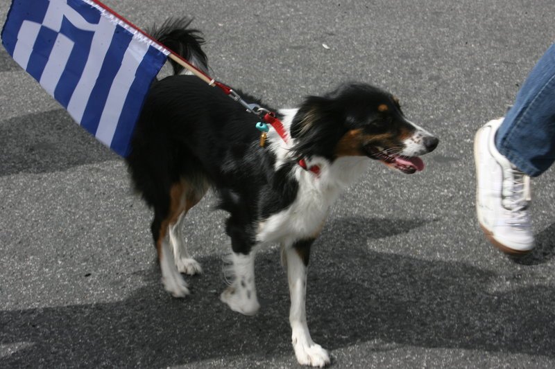 Ενας σκύλος στην στρατιωτική παρέλαση της 25ης Μαρτίου
