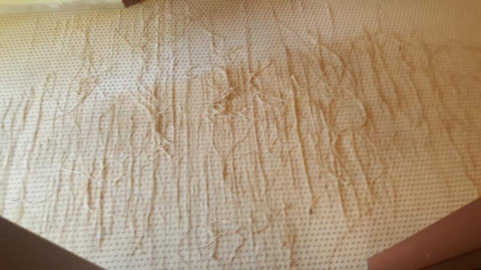 Σοκ: Εστειλαν τις Κορασίδες του Αρη και της Ελπίδας Αμπελοκήπων σε ξενοδοχείο ημιδιαμονής στην Αθήνα [εικόνες] | iefimerida.gr 2