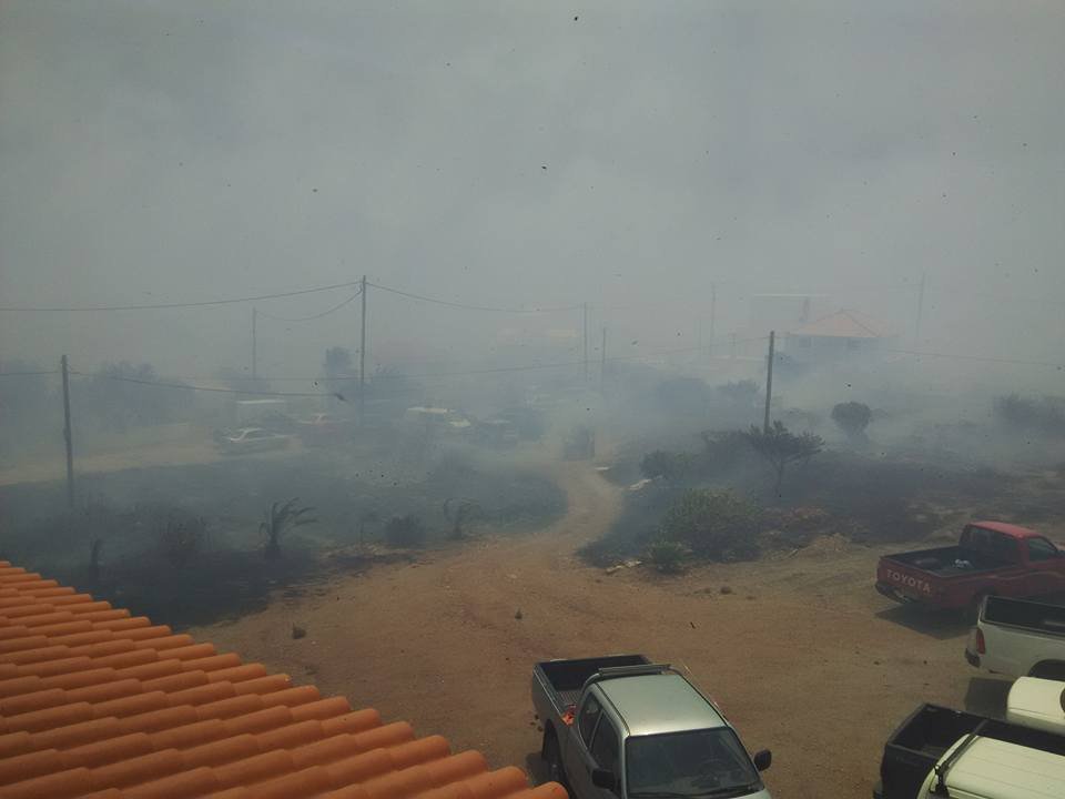 «Δεν φεύγω από το βιος μου»: Φωνή απόγνωσης από τους κατοίκους της Λακωνίας [εικόνες] | iefimerida.gr 1