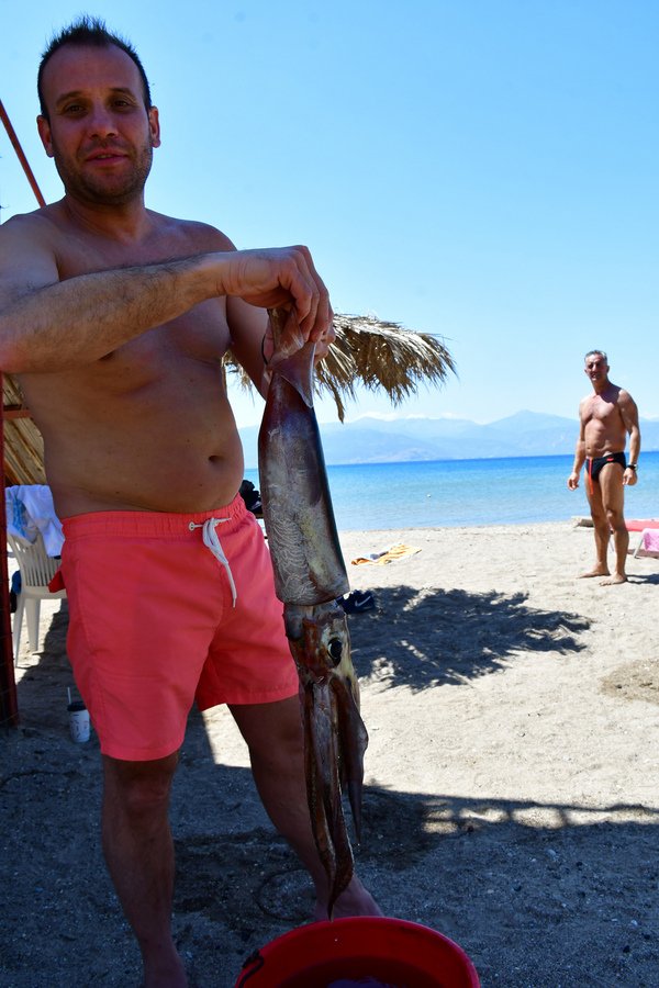 Καλαμάρι-γίγα ενός μέτρου έπιασαν κολυμβητές στο Ναύπλιο [εικόνες] | iefimerida.gr 2