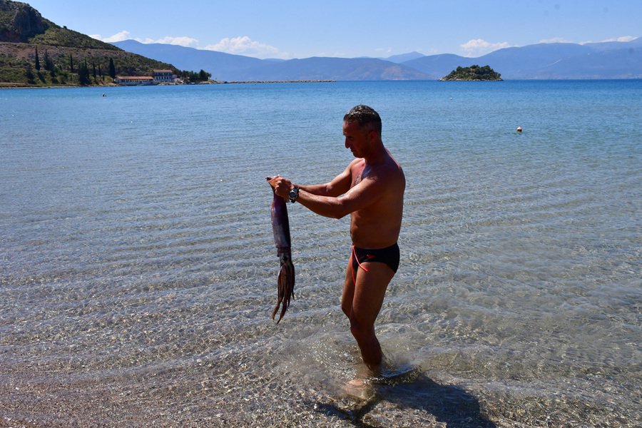 Καλαμάρι-γίγα ενός μέτρου έπιασαν κολυμβητές στο Ναύπλιο [εικόνες] | iefimerida.gr 3