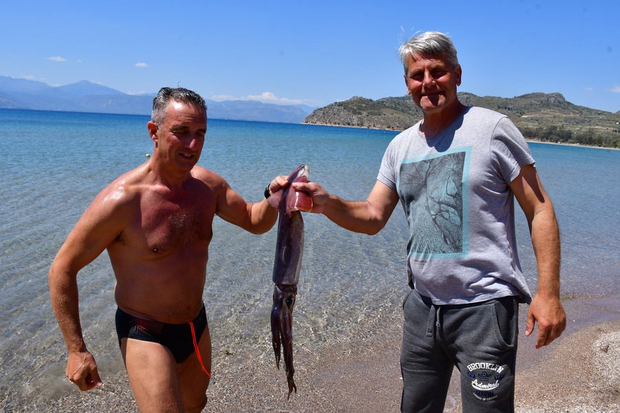 Καλαμάρι-γίγα ενός μέτρου έπιασαν κολυμβητές στο Ναύπλιο [εικόνες] | iefimerida.gr 1