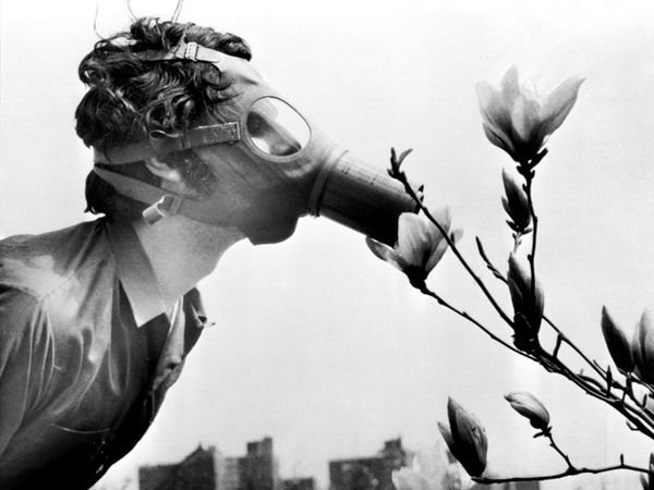 Σπάνια στιγμιότυπα από την πρώτη μέρα της Γης: Έτσι γιόρτασαν στις 22 Απριλίου 1970 [εικόνες] | iefimerida.gr 0