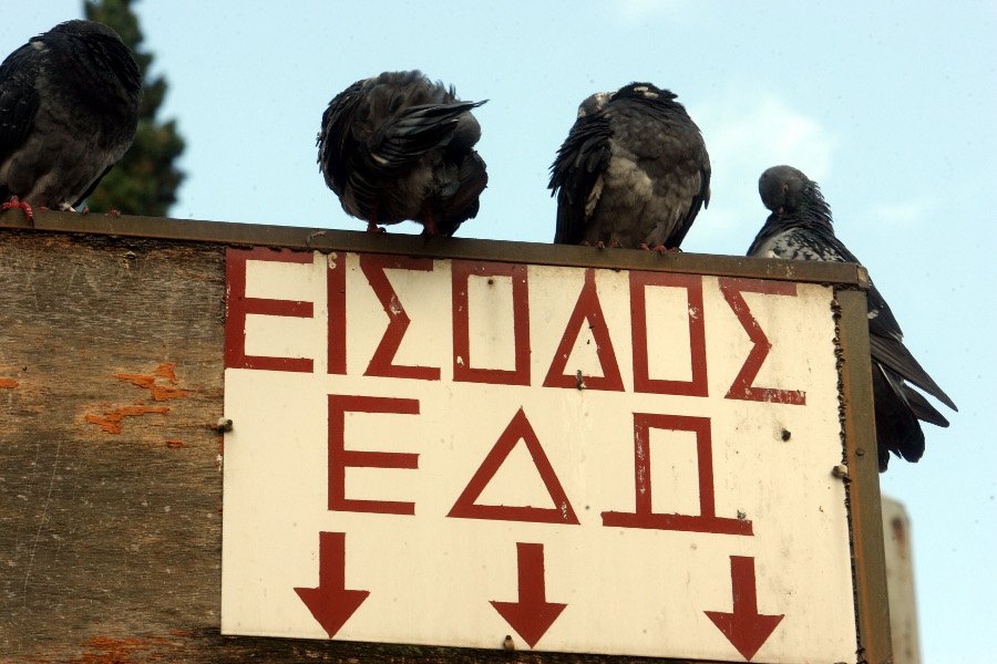 Tα περιστέρια στην Ευελπίδων που βλέπουν τα τζιπ με τους συλληφθέντες Χρυσαυγίτες να περνούν [εικόνες] | iefimerida.gr 0