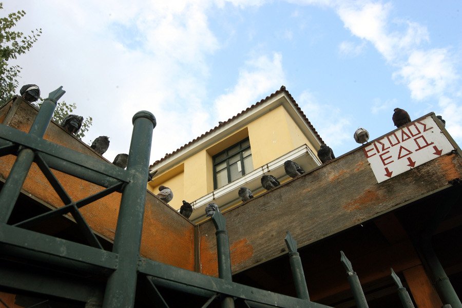 Tα περιστέρια στην Ευελπίδων που βλέπουν τα τζιπ με τους συλληφθέντες Χρυσαυγίτες να περνούν [εικόνες] | iefimerida.gr 1