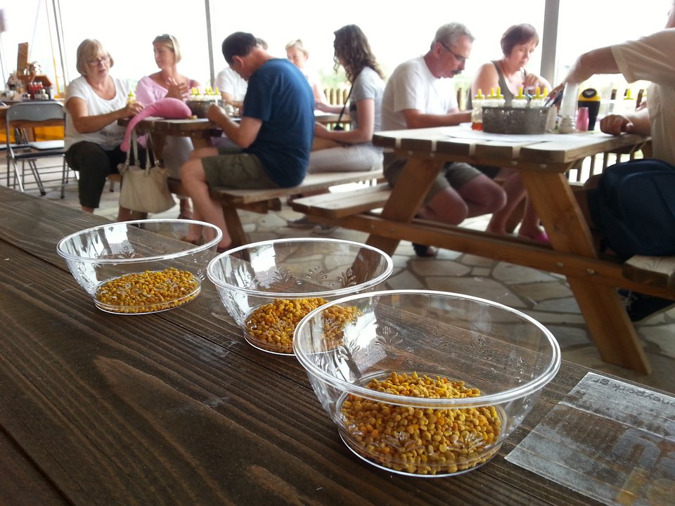 Ευεξία! Μέσα στο Πάρκο Μελισσοθεραπείας στη Θεσσαλονίκη [εικόνες] | iefimerida.gr 2