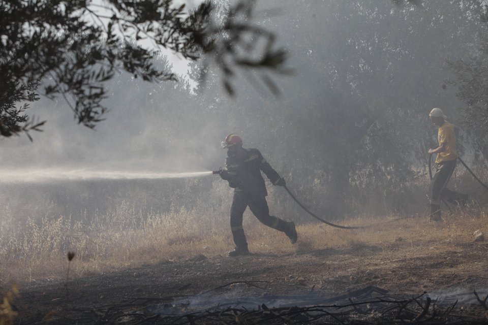 Η μάχη με τις φλόγες που έδωσαν κάτοικοι και πυροσβεστική στο Μαρκόπουλο μέσα από εικόνες | iefimerida.gr 0