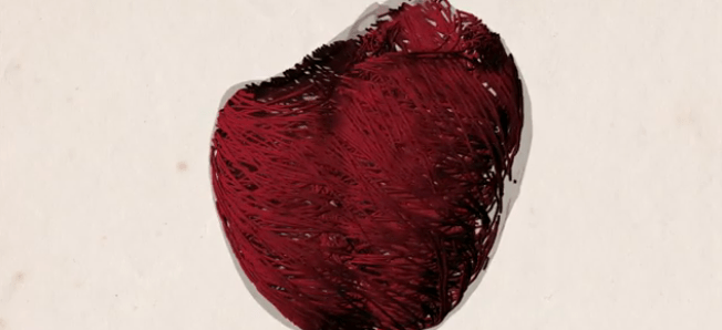 Επιστήμη σε 3D - Οι νικητές του διαγωνισμού επιστημονικής οπτικοποίησης 2012 [εικόνες] | iefimerida.gr 0