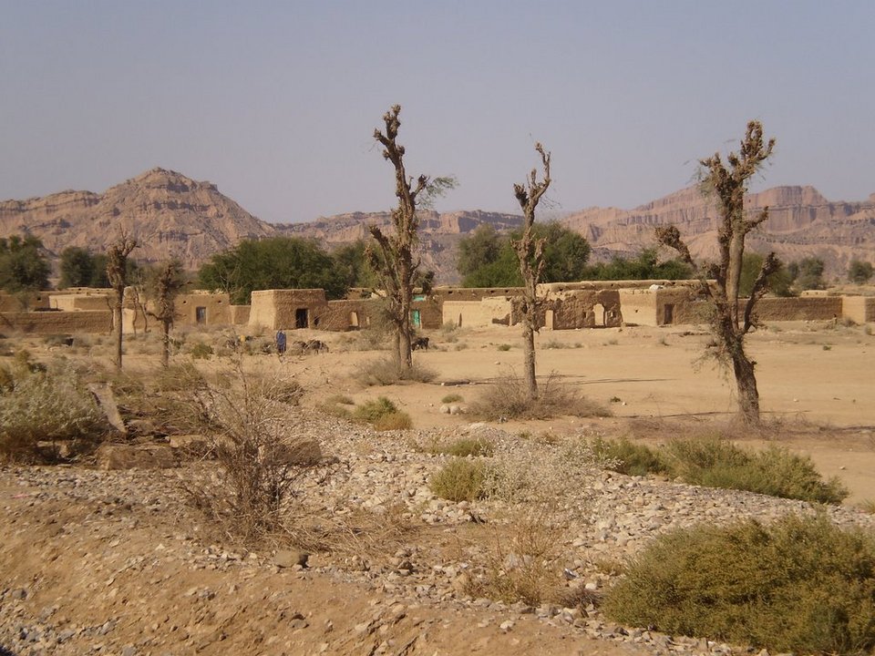 Αγγιξε τους 50° C ο υδράργυρος στην Ινδία - 539 νεκροί [εικόνες] | iefimerida.gr 0