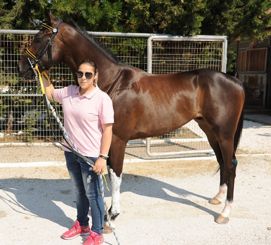 Επτά ιπποδρομίες και «μάχες» γένους θηλυκού σήμερα στο Μαρκόπουλο – Μπρα ντε φερ Καβρουλάκη-Κεράτσα  | iefimerida.gr 0