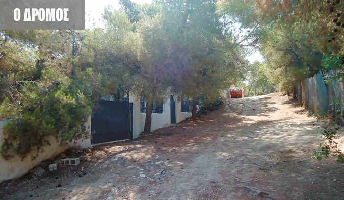 Αυθαίρετο σε αναδασωτέα περιοχή έχει ο Παπακωνσταντίνου | iefimerida.gr 1