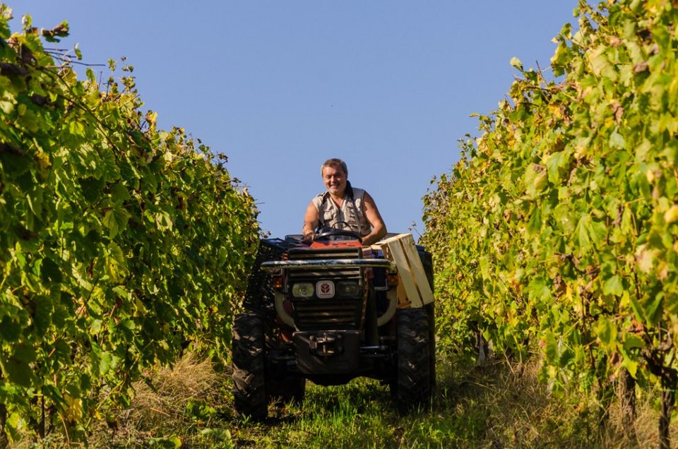 4 πράγματα που πρέπει να κάνεις στη Ρώμη όταν έχεις ήδη πάει στα βασικά [εικόνες] | iefimerida.gr 6