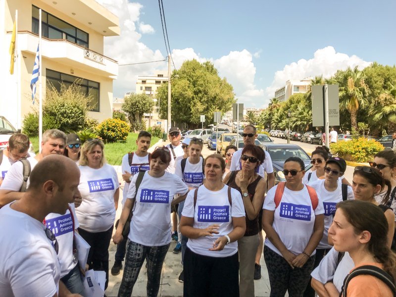 Η Protect Animals Greece καλύπτει τα έξοδα για την προετοιμασία υιοθεσίας των πυρόπληκτων ζώων | iefimerida.gr 2